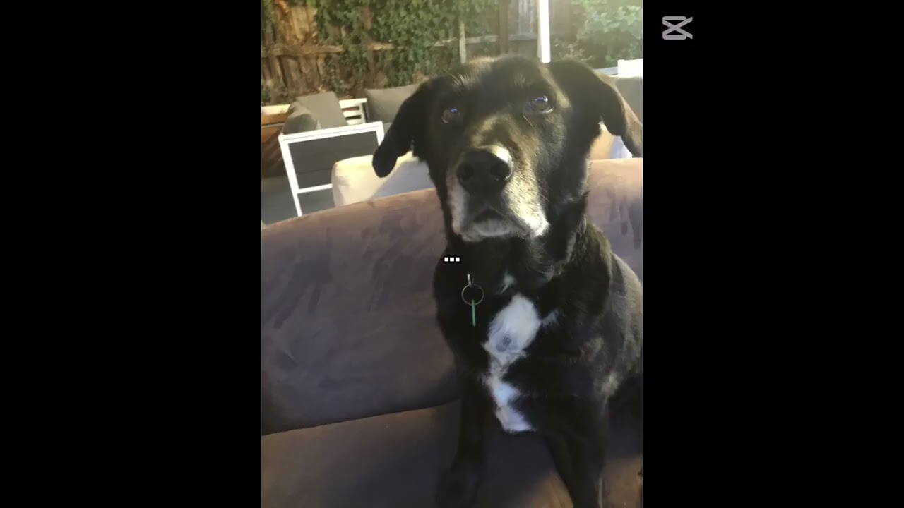 Who could be scared of him 