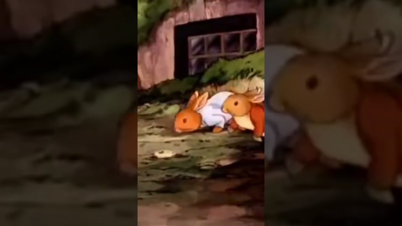 Peter Rabbit Tommy Brock And Mr Toad