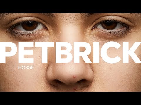 PETBRICK – Horse (Track Video)