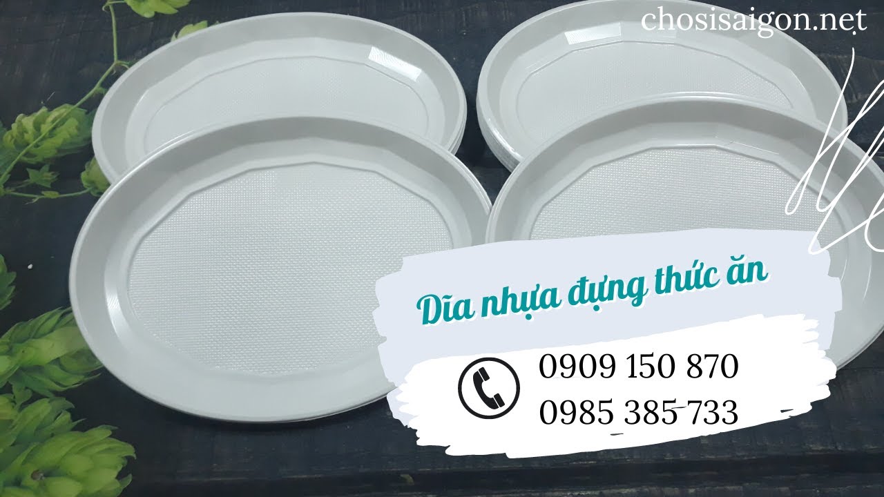 Dĩa nhựa (Đĩa nhựa) dùng 1 lần bỏ sỉ giá rẻ - youtube