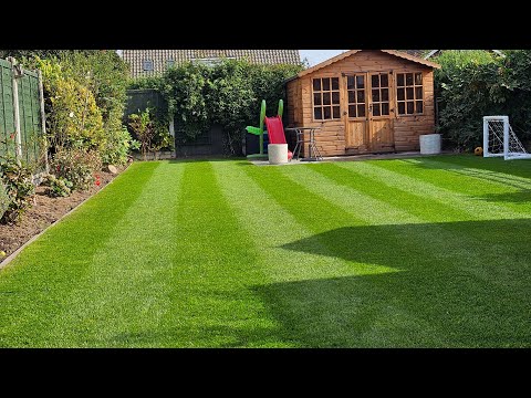 New lawn time-lapse.