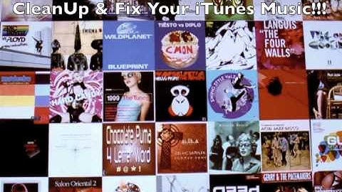 CleanUp & Fix Your iTunes Music!!! Fix iTunes Music Now!