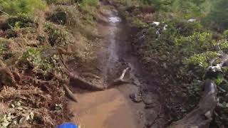 WR250F and WR450F Back to Back