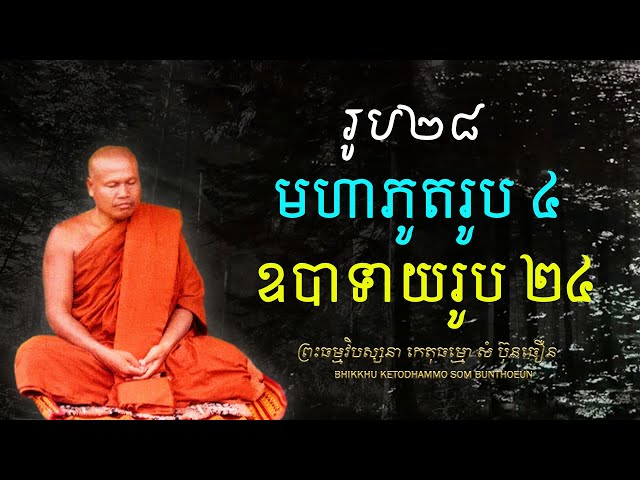 រូប២៨ (មហាភូតរូប ៤, ឧបាទាយរូប ២៤)