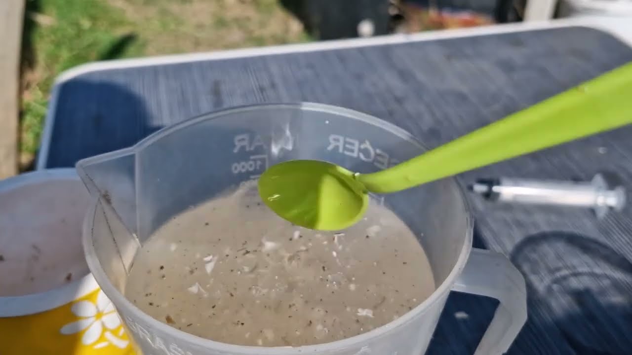 Dodajte ovo đubrivo u rasad i dobijate debele i snažne stabljike paradajza