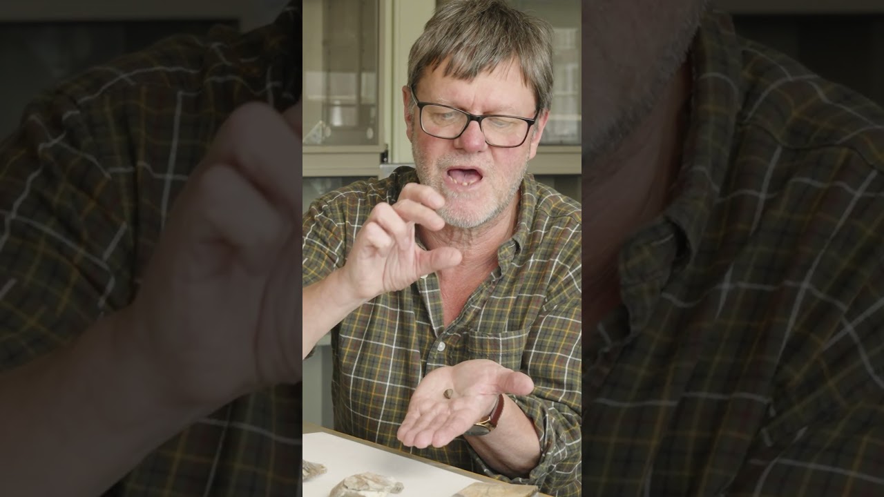 This tiny rock has changed human history