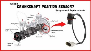 Crankshaft Position Sensor Wiring Diagram|Function| Working| Testing| P0335|P0336|P0337