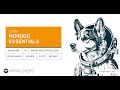 Mondoo Essentials Teaser