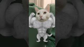 Pero Que Macizo Ércitodepelos