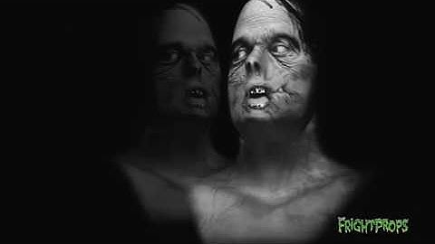 Ghost Bust Halloween Song HD!