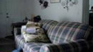 Xtreme Couch Jumping Ep. 1