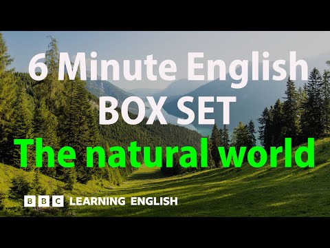 BOX SET: 6 Minute English - 'Sport' English mega-class! 30 minutes of new  vocabulary! 