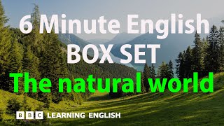 BOX SET: 6 Minute English  'The natural world' English megaclass! 30 minutes of new vocabulary!