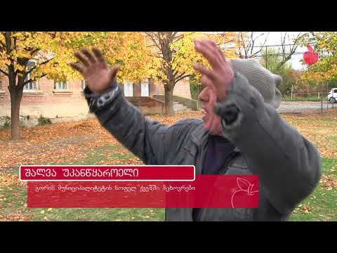 ქვეშის სკოლაში ჭერი ჩამოინგრა