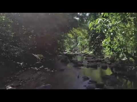 Video: Villa Chameleon: Kaduv Puhkemaja Bali Džunglites