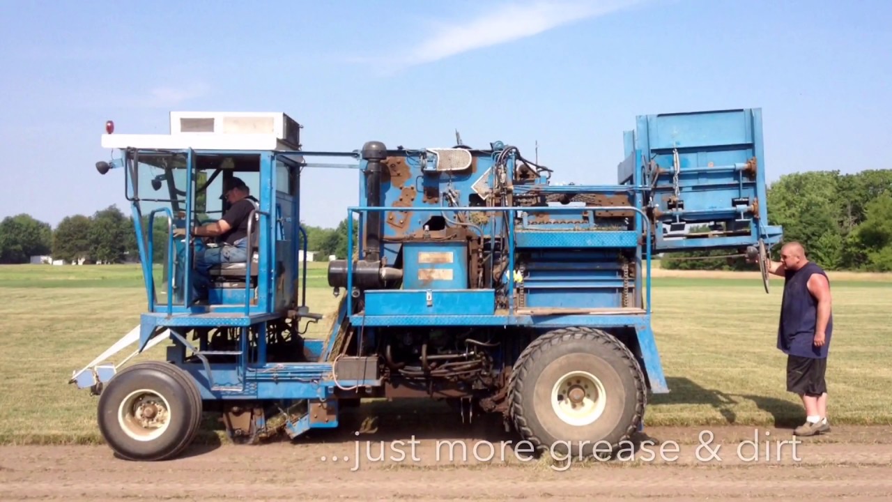 Brockmeier Sod Farms Princeton Automatic Harvester