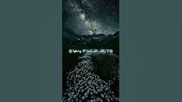 #قران #القران_الكريم #آيات_بينات #ماهر_المعيقلي #تلاوة_هادئة #اكسبلور #quran #تلاوة_خاشعة #ارح_قلبك