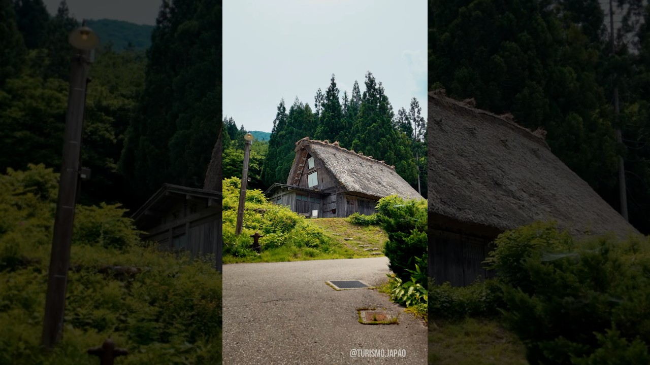Shirakawago