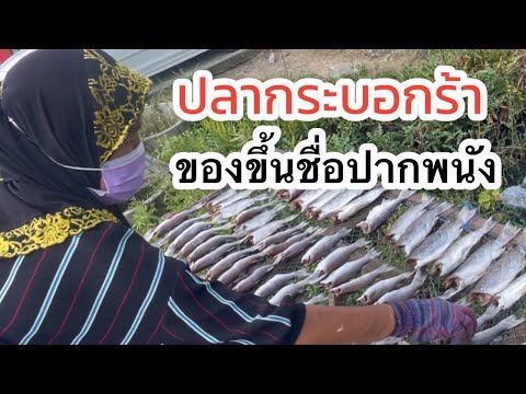 ผลสลากกินแบ่งรัฐบาล วันที่ 1 พย. 2567