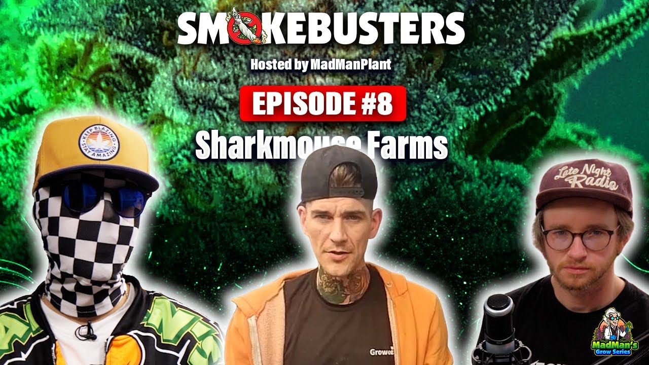 Exploring Garden Secrets and Questions with Sharkmouse Farms: SmokeBusters Interview