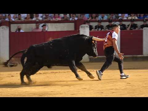 Valladolid 2026 Campeonato de Cortes con Toros Bravos