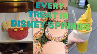 EVERY Treat in Disney Springs | Ultimate Dessert Guide screenshot 3
