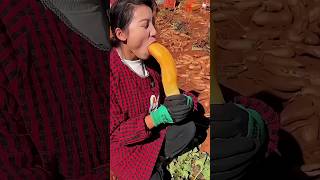 Yacon – The Chinses Sweet Potato | By KaMad Reporting #shorts
