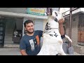 Khatarnak kota bakre at momin goat farm  fastest goat traders mumbai