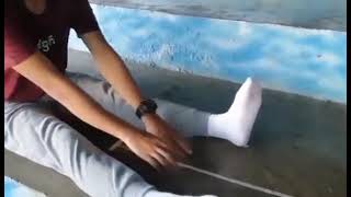 sit and reach performance task