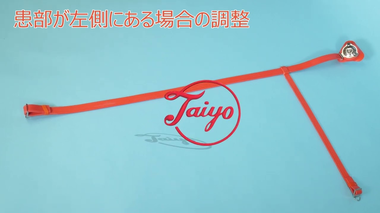 タイヨー脱腸帯 ノーマルタイプ （F号 大人用 腰回り100cmまで