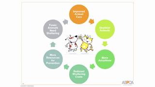 Setting Yourself Up for Success: Using Capacity for Care, Part 2 - conference recording