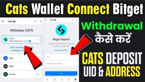 cats wallet connect bitget | How to withdrawal cats token on Bitget | cat token deposit address and