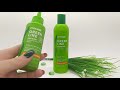 Набор на лосьон и Шампунь активатор роста волос Concept Green Line Active hair growth shampoo