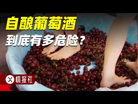 甲醇超标，杂菌横生？不合格的自酿葡萄酒有多要命