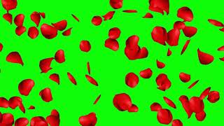 🌸 Falling Flower Petals - Flower Petals Green Screen Pack