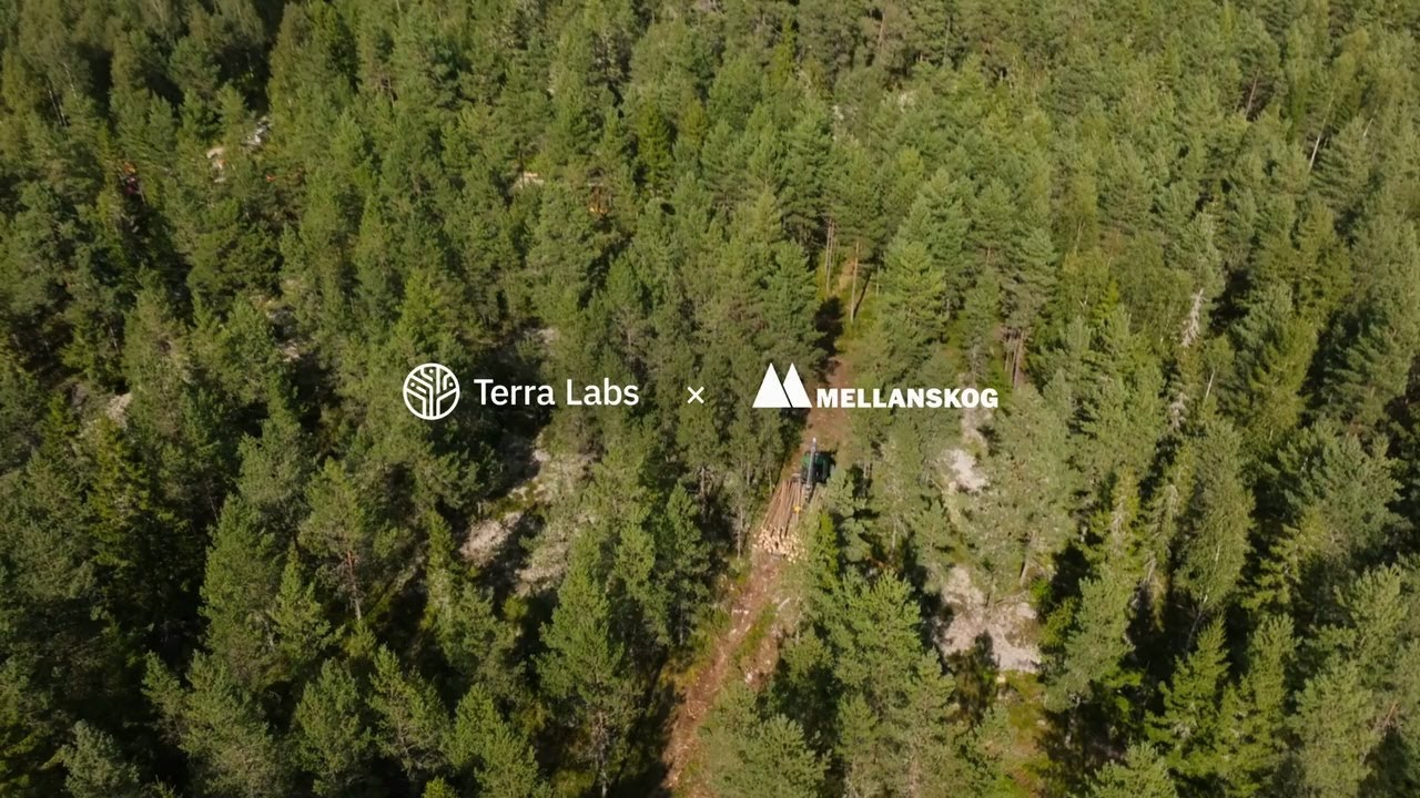 Terra Labs × Mellanskog
