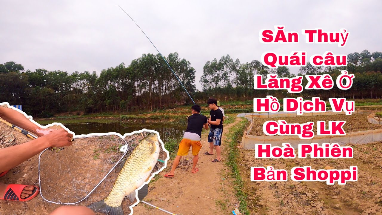 Ba Sói TV | Săn Thủy Quái hồ dịch vụ cùng LK Hòa shoppi lần đầu được dòng cá trắm lên bờ | Fishing