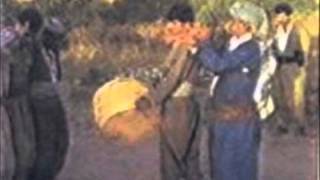 Zaxo2011 Dahol U Zurna