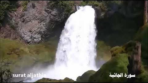 سورة الجاثية     سعد الغامدي          saad alghamdi  …   surat aljathia