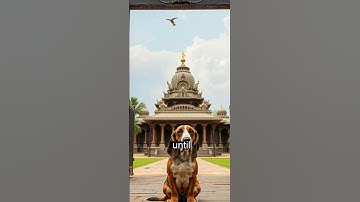 Love in a Non-Euclidean Maze #love #poetry #nonEuclidean #expatLife #postmodernism