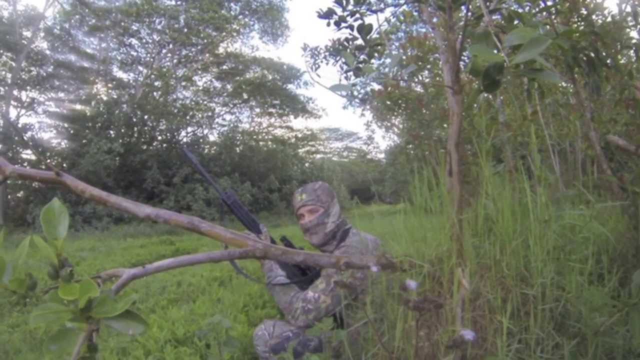 Wild Boar Hunting in Kaua'i, Hawaii YouTube