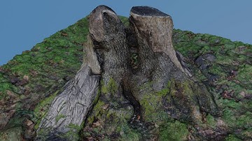 Look at this cool tree stump | Photogrammetry
