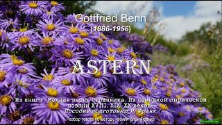 Astern (Астры) /Gottfried Benn/