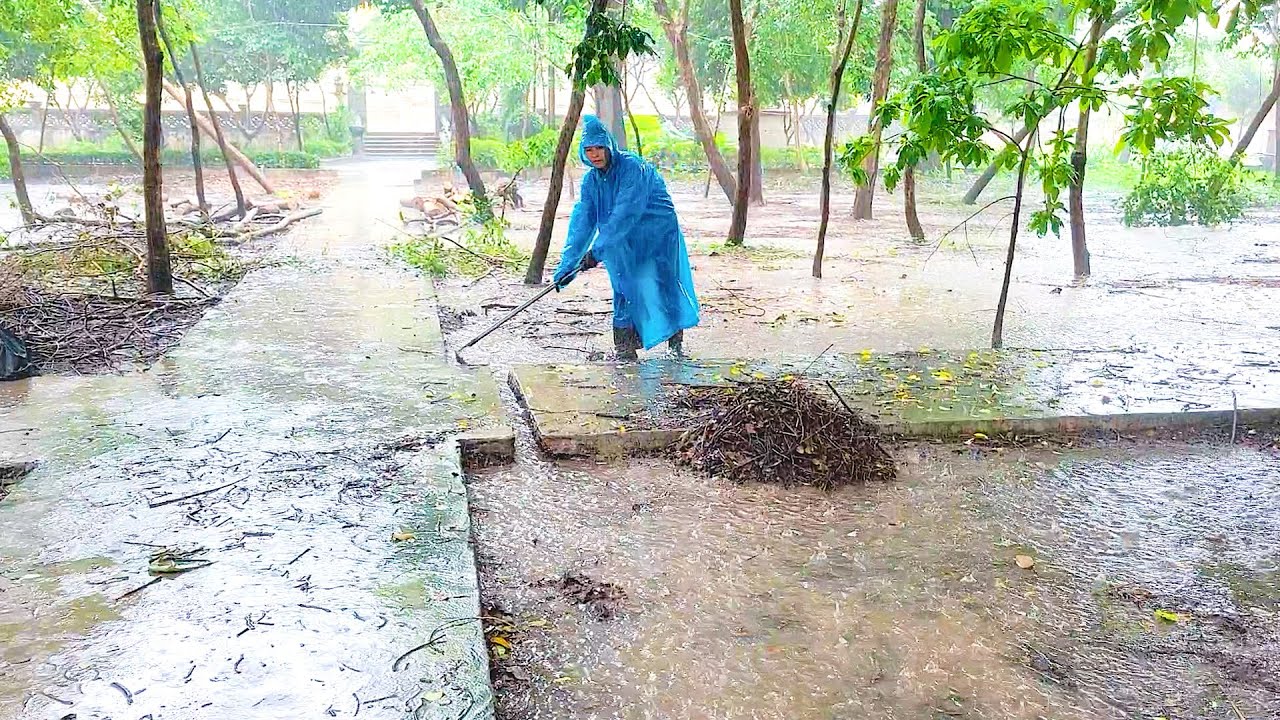 Restoring Drainage Clearing a Clogged Culvert After Rain - YouTube