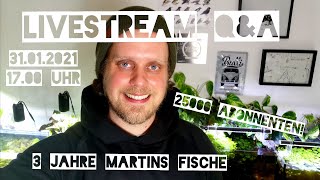 Livestream - Wir feiern 3 Jahre Martins Fische und 25000 Abonnenten Q&A