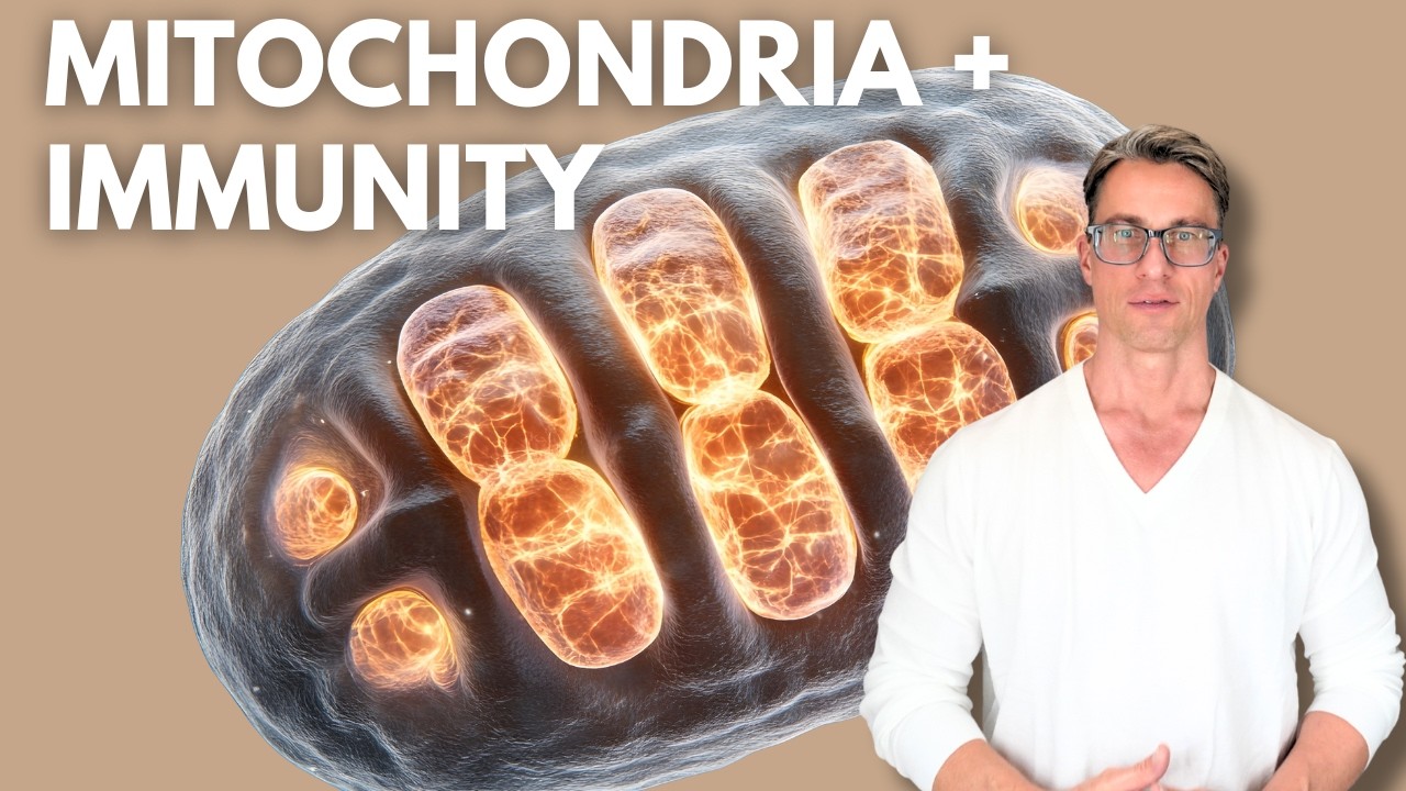 Как митохондрии контролируют вашу иммунную систему