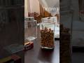 #fridge organizing#little pantry#shopping#breakfast#today#shorts#bread#thezephyr#healthy#simple#new