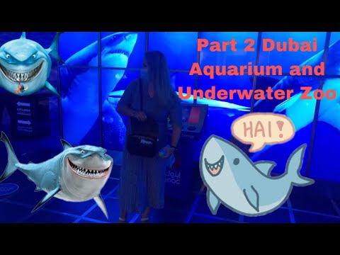 Part 2 Dubai Aquarium & Underwater Zoo Experience | Yadz Ricah
