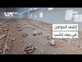 تزايد إتلاف الدواجن في ريف إدلب يفاقم خسائر المربين