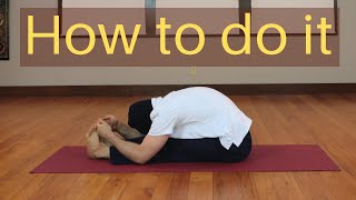 How to do Forward Bend | Forward bend Step by Step | Marcel Anders Hoepgen | forward bend stretch